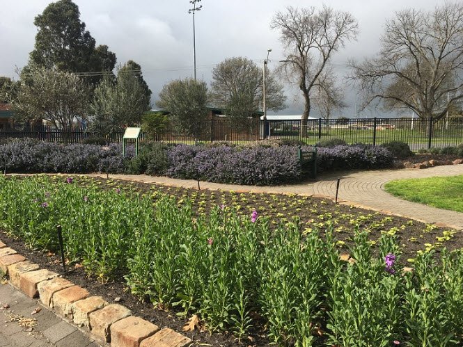 Horsham Botanic Gardens, Australia